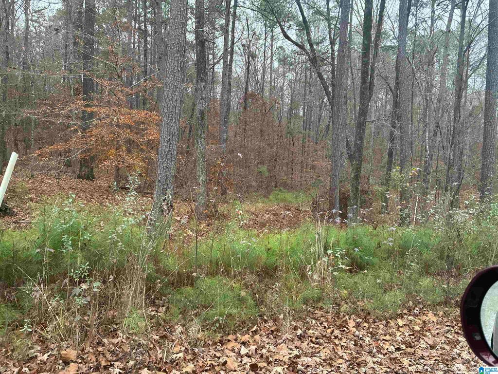 651 PINE MOUNTAIN TRAIL, Chelsea, AL 35043