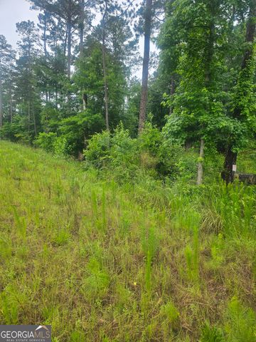 2755 PEEKSVILLE, Locust Grove, GA 30248