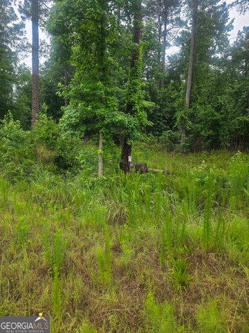 2755 PEEKSVILLE, Locust Grove, GA 30248