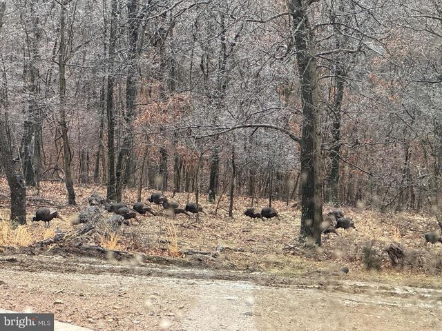 879 OLDE OAK VIEW DR, Springfield, WV 26763