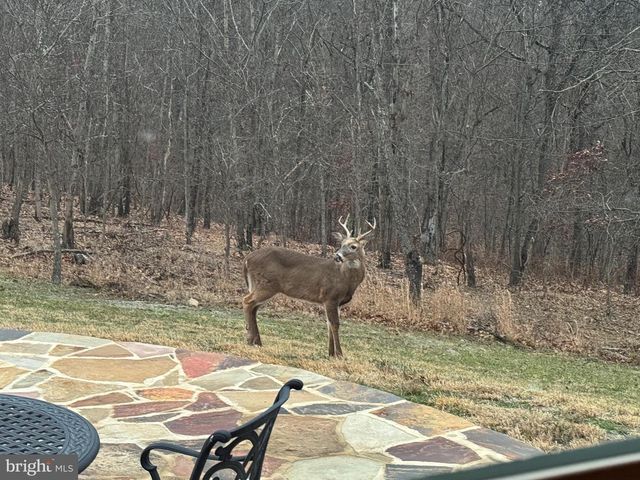 879 OLDE OAK VIEW DR, Springfield, WV 26763