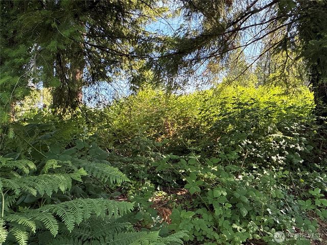 2229 97th Street SE, Lake Stevens, WA 98258