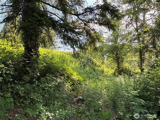 2229 97th Street SE, Lake Stevens, WA 98258