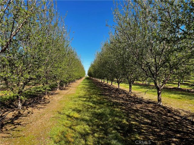 24186 Orangewood Road, Corning, CA 96021