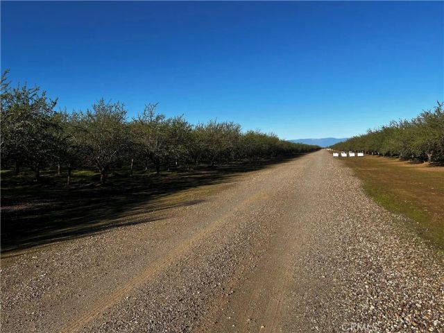 24186 Orangewood Road, Corning, CA 96021