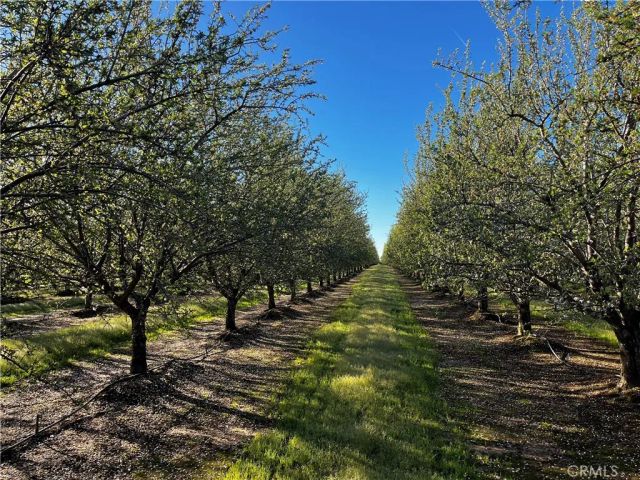 24186 Orangewood Road, Corning, CA 96021