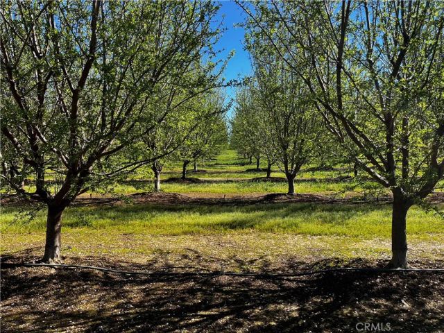 24186 Orangewood Road, Corning, CA 96021