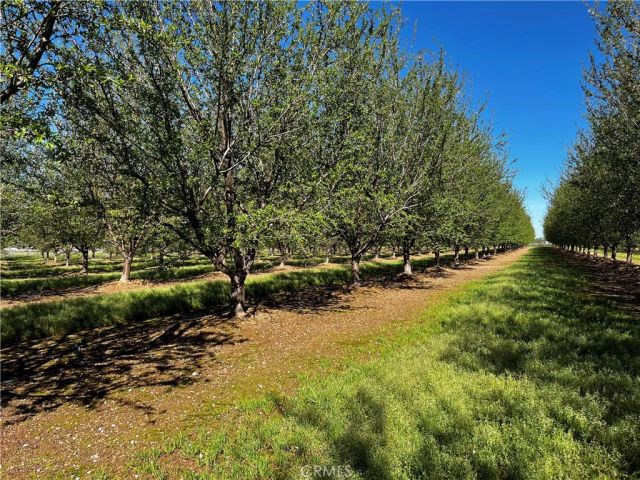 24186 Orangewood Road, Corning, CA 96021