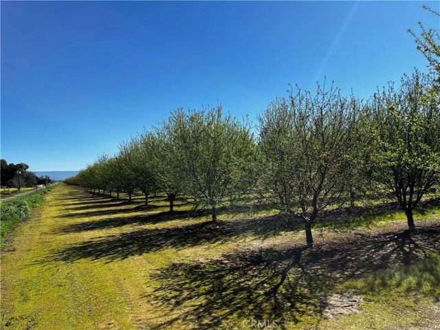 24186 Orangewood Road, Corning, CA 96021