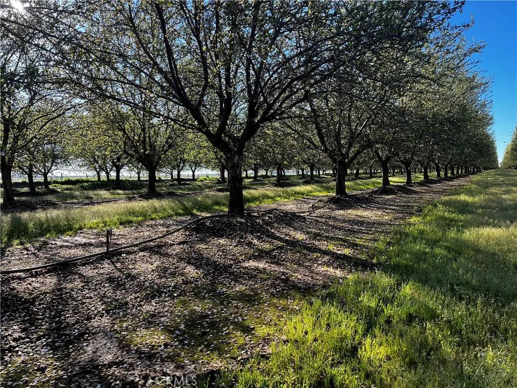 24186 Orangewood Road, Corning, CA 96021