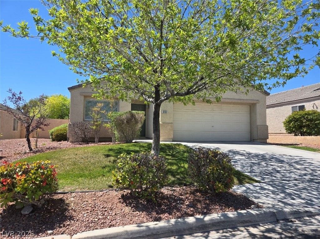 10163 Spider Rock Avenue, Las Vegas, NV 89135