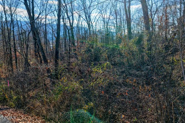 Tbd Blackheath Road, Kingsport, TN 37660