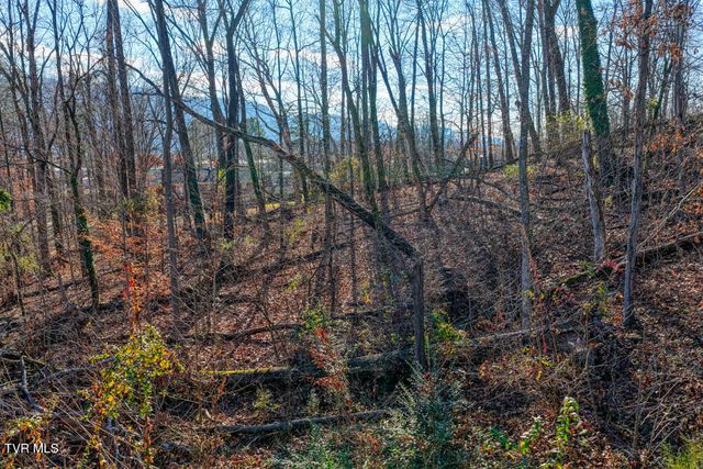 Tbd Blackheath Road, Kingsport, TN 37660