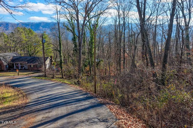 Tbd Blackheath Road, Kingsport, TN 37660