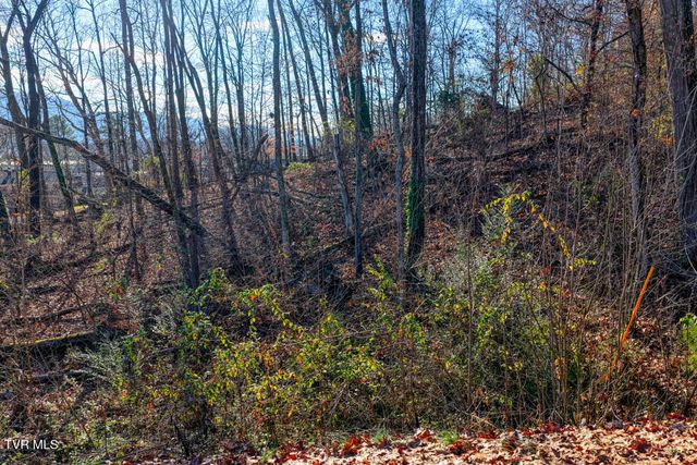 Tbd Blackheath Road, Kingsport, TN 37660