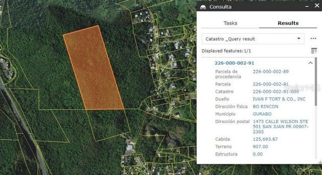CARR 30 & CARR 203, Gurabo, PR 00778