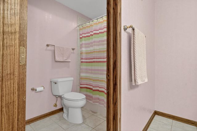 1036 E Talbot Street, Arlington Heights, IL 60004