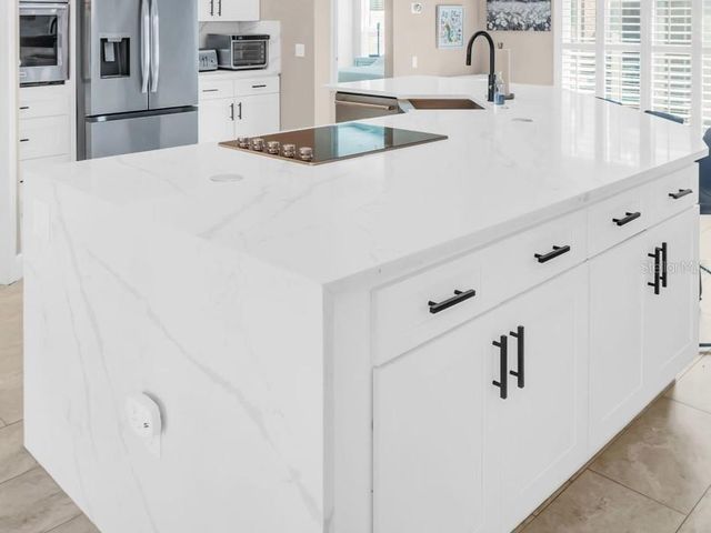 1703 BLUE LAKE COURT, Tarpon Springs, FL 34689