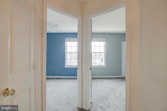 637 BRIDLEWOOD DR, Culpeper, VA 22701