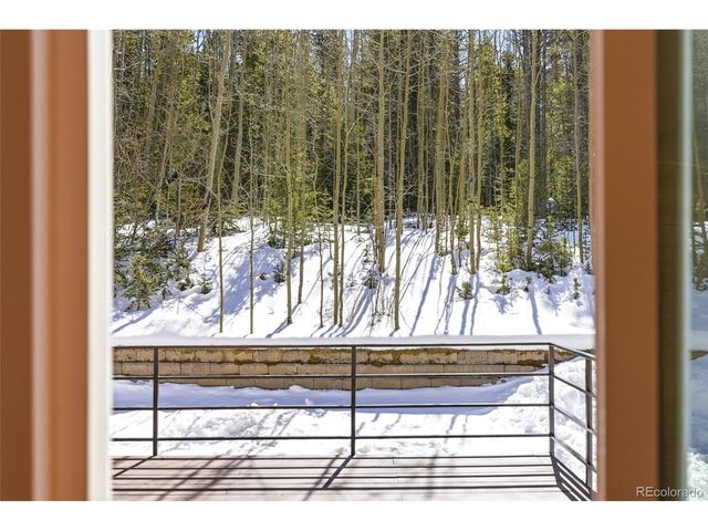 1645 Little Bear Creek Rd, Idaho Springs, CO 80452