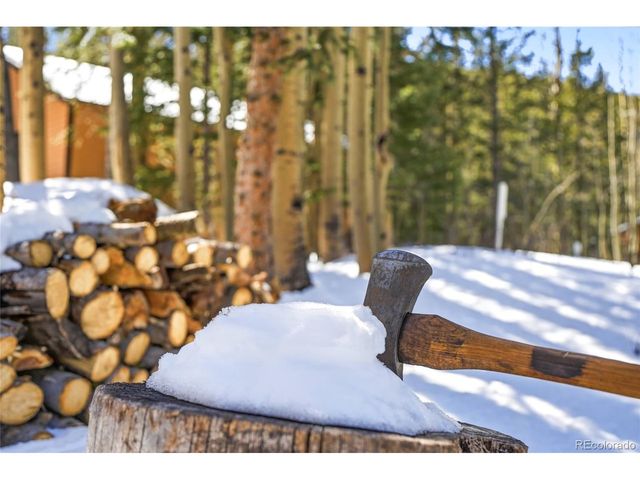 1645 Little Bear Creek Rd, Idaho Springs, CO 80452