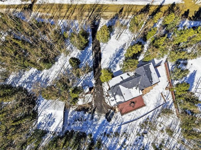 1645 Little Bear Creek Rd, Idaho Springs, CO 80452