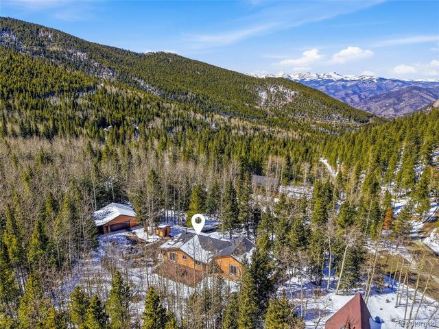 1645 Little Bear Creek Rd, Idaho Springs, CO 80452