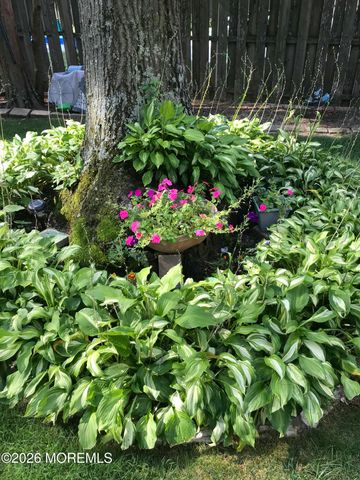 520 Hardenberg Avenue, Point Pleasant, NJ 08742