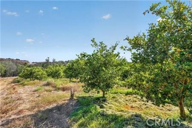 982 Live Oak Park Road, Fallbrook, CA 92028