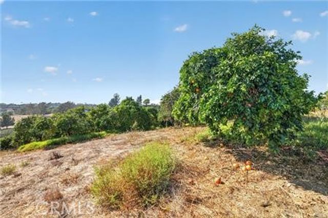 982 Live Oak Park Road, Fallbrook, CA 92028