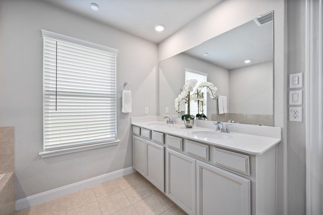 11403 Brookside Arbor Lane, Richmond, TX 77406