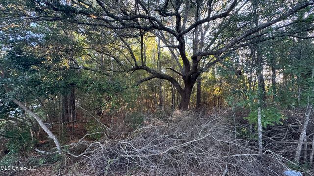 9079 Iris Street, Bay Saint Louis, MS 39520