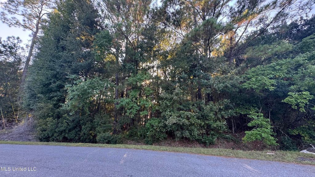 9079 Iris Street, Bay Saint Louis, MS 39520