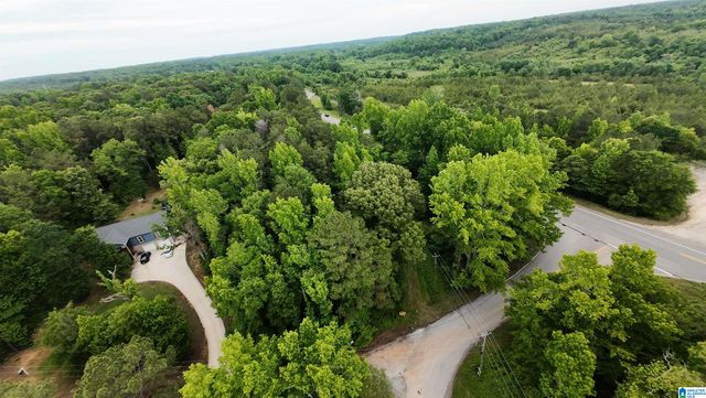 16 THRASH ROAD, Woodstock, AL 35188