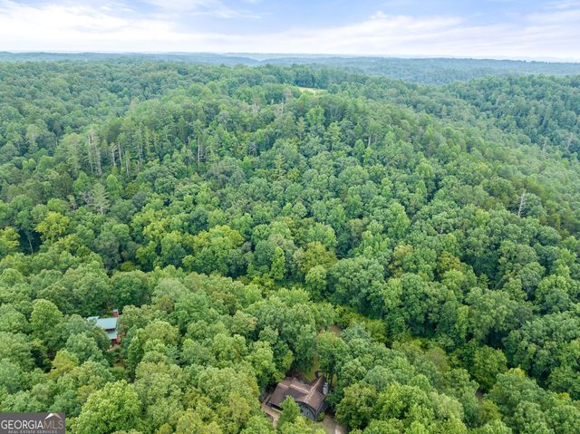 338 Woody Tucker Road, Dawsonville, GA 30534