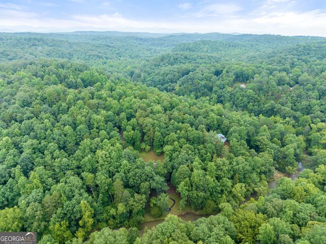 338 Woody Tucker Road, Dawsonville, GA 30534