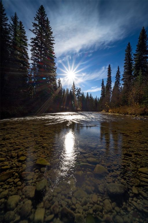 8500 North Fork Road, Polebridge, MT 59928 photo 109