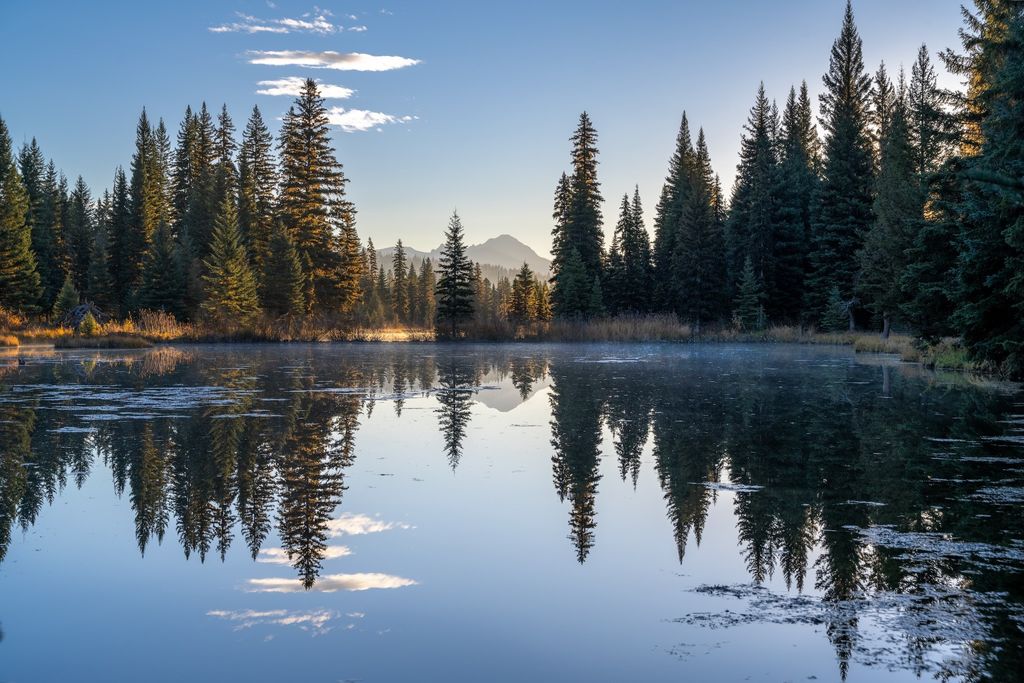 8500 North Fork Road, Polebridge, MT 59928 photo 111