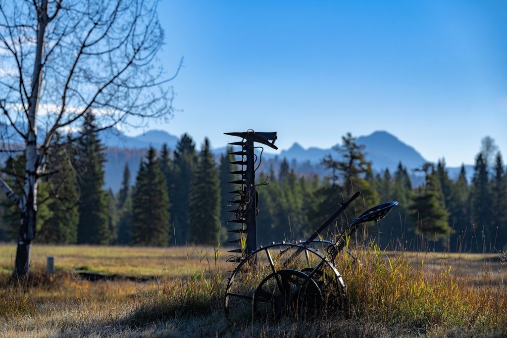 8500 North Fork Road, Polebridge, MT 59928 photo 114