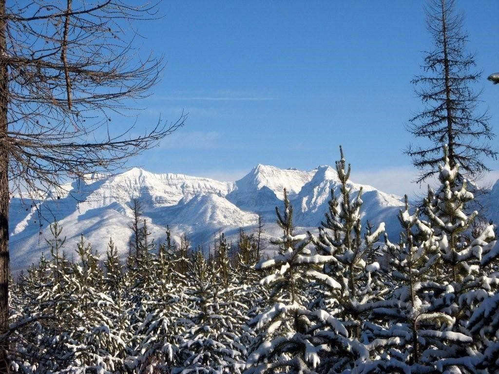 8500 North Fork Road, Polebridge, MT 59928 photo 128