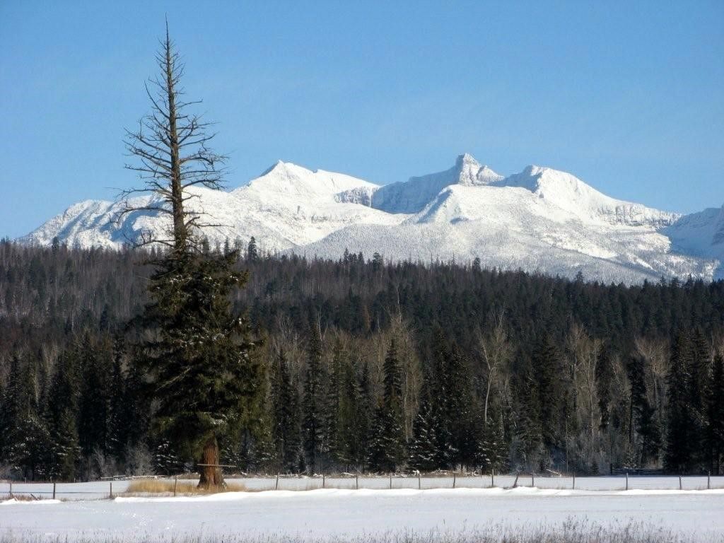 8500 North Fork Road, Polebridge, MT 59928 photo 130