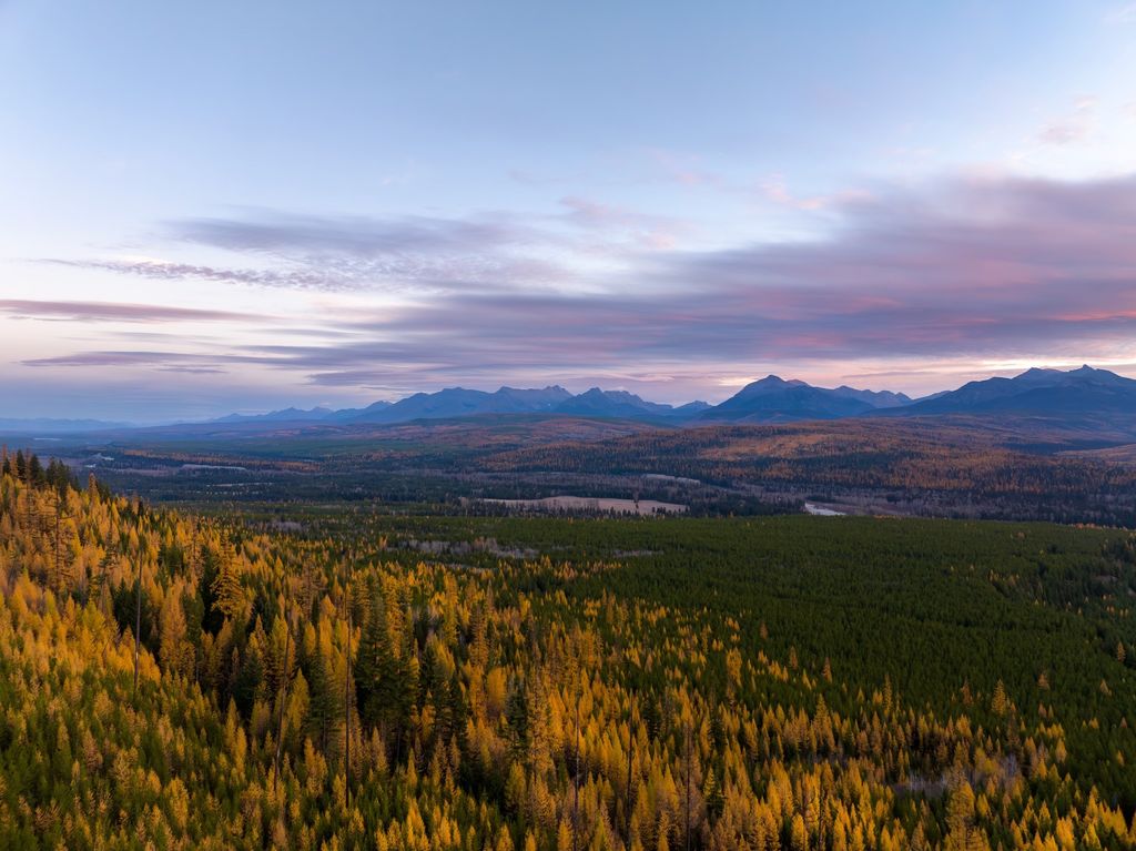8500 North Fork Road, Polebridge, MT 59928 photo 136