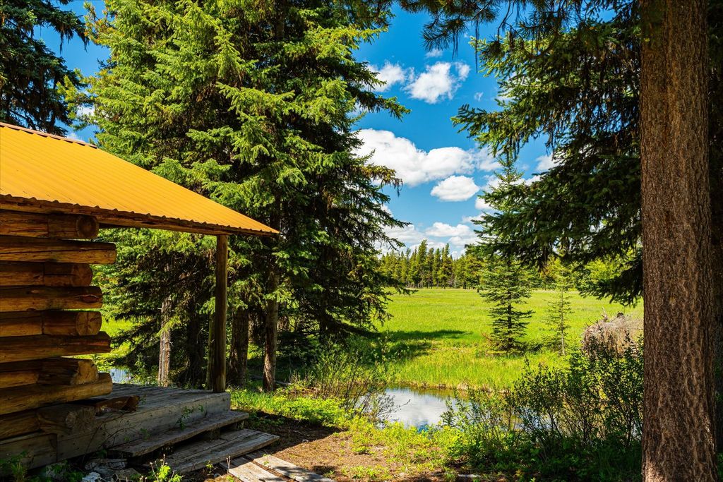 8500 North Fork Road, Polebridge, MT 59928 photo 18