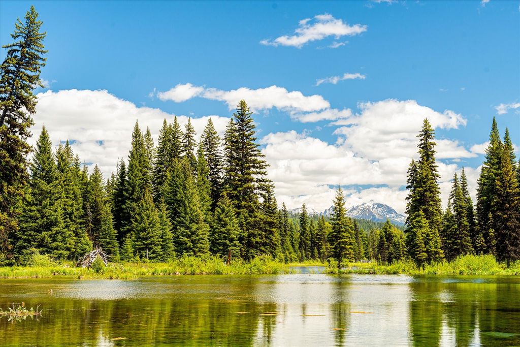 8500 North Fork Road, Polebridge, MT 59928 photo 28
