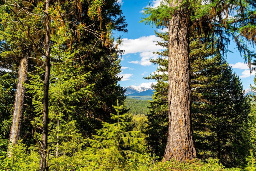 8500 North Fork Road, Polebridge, MT 59928 photo 32