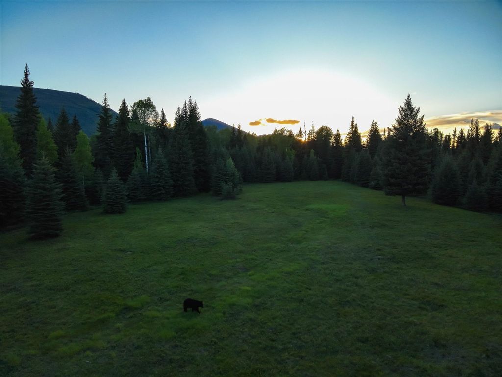 8500 North Fork Road, Polebridge, MT 59928 photo 47