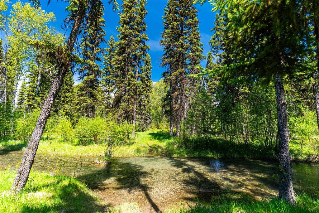 8500 North Fork Road, Polebridge, MT 59928 photo 62