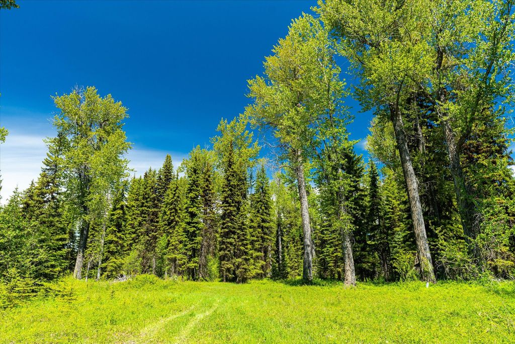 8500 North Fork Road, Polebridge, MT 59928 photo 71