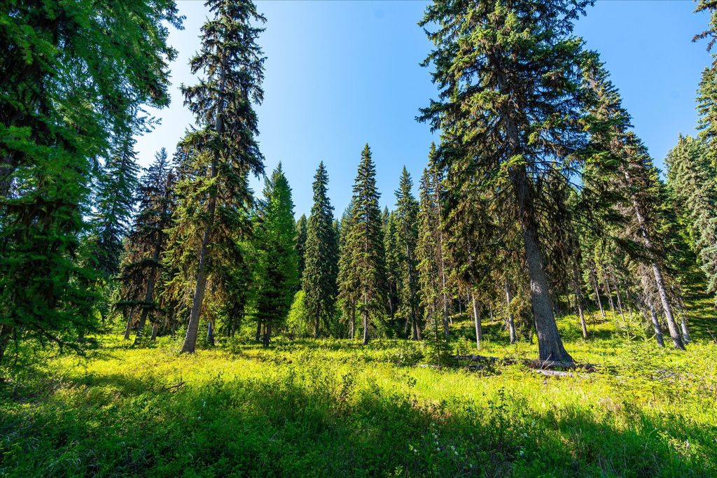 8500 North Fork Road, Polebridge, MT 59928 photo 73