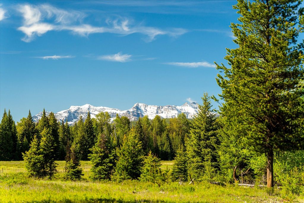 8500 North Fork Road, Polebridge, MT 59928 photo 79